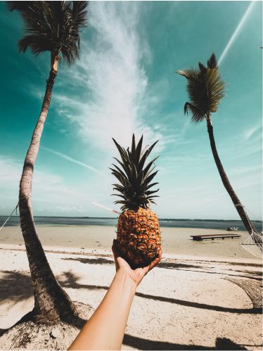 Punta Cana, one of the most popular tourist destinations in the Caribbean.
