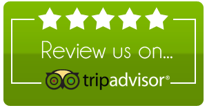 TripAdvisor Certificate