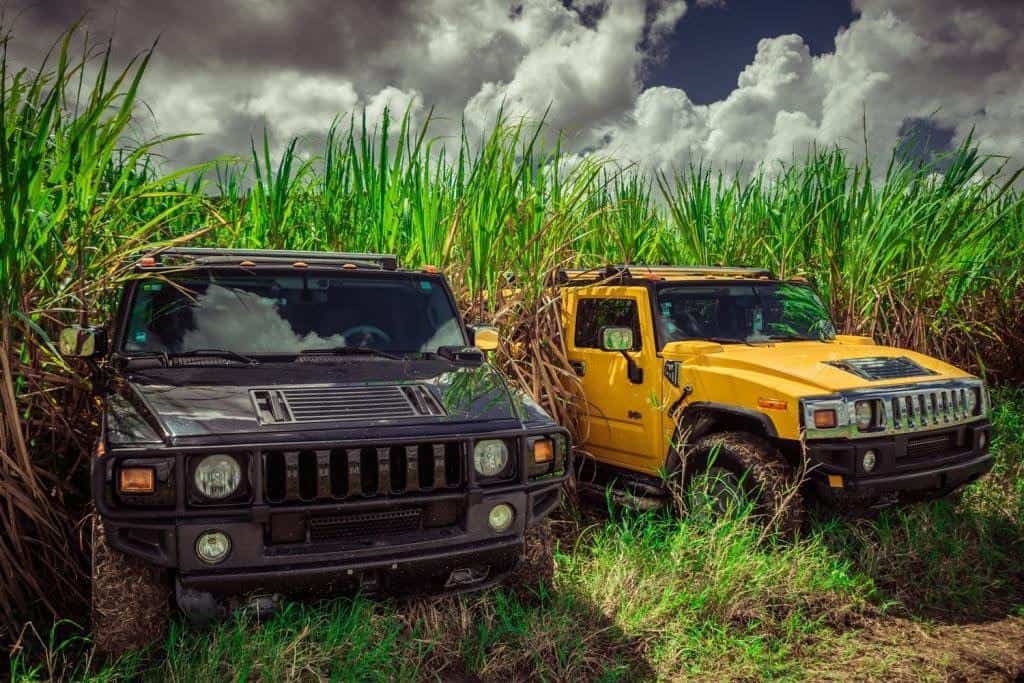 Hummer Ranch Hummer Safari Tour in the Dominican Republic - Punta Cana Tours